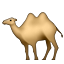 camel