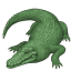 crocodile