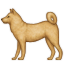 dog2