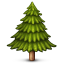 evergreen_tree