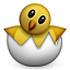 hatching_chick