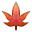 maple_leaf