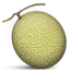 melon