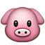 pig