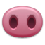 pig_nose