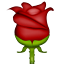 rose