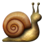 snail