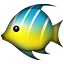 tropical_fish