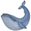 whale2